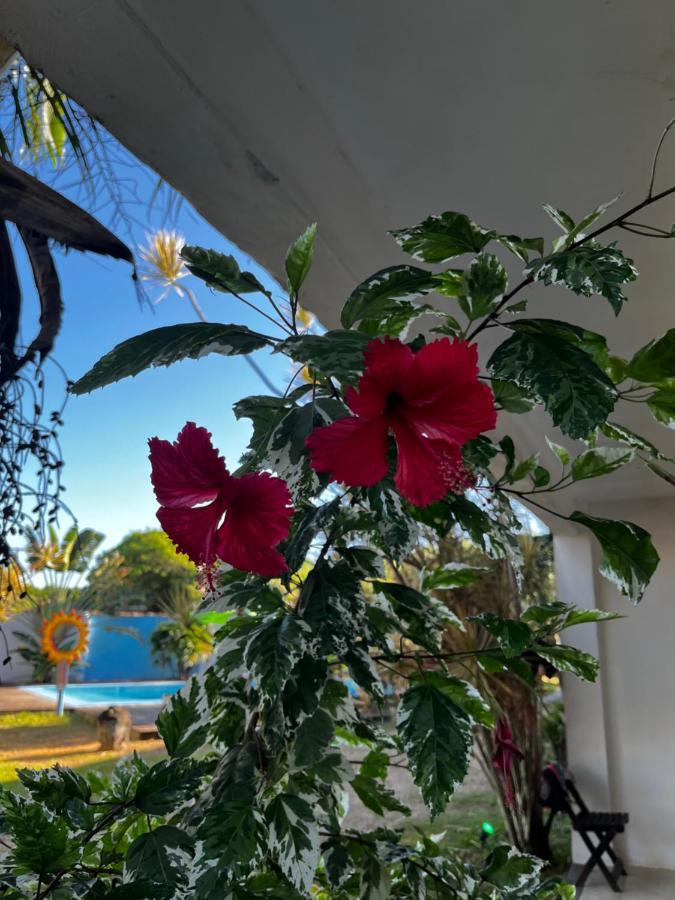 Eco Suites Caravelas Cabo Frio Ngoại thất bức ảnh